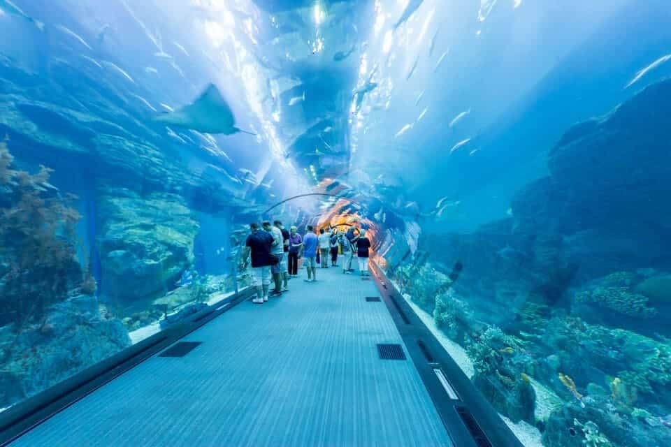 Vstupenky na Burdž Chalífa a akvárium 2026