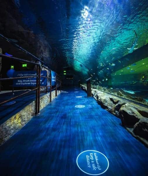 Vstupenky na Burdž Chalífa a akvárium 2026